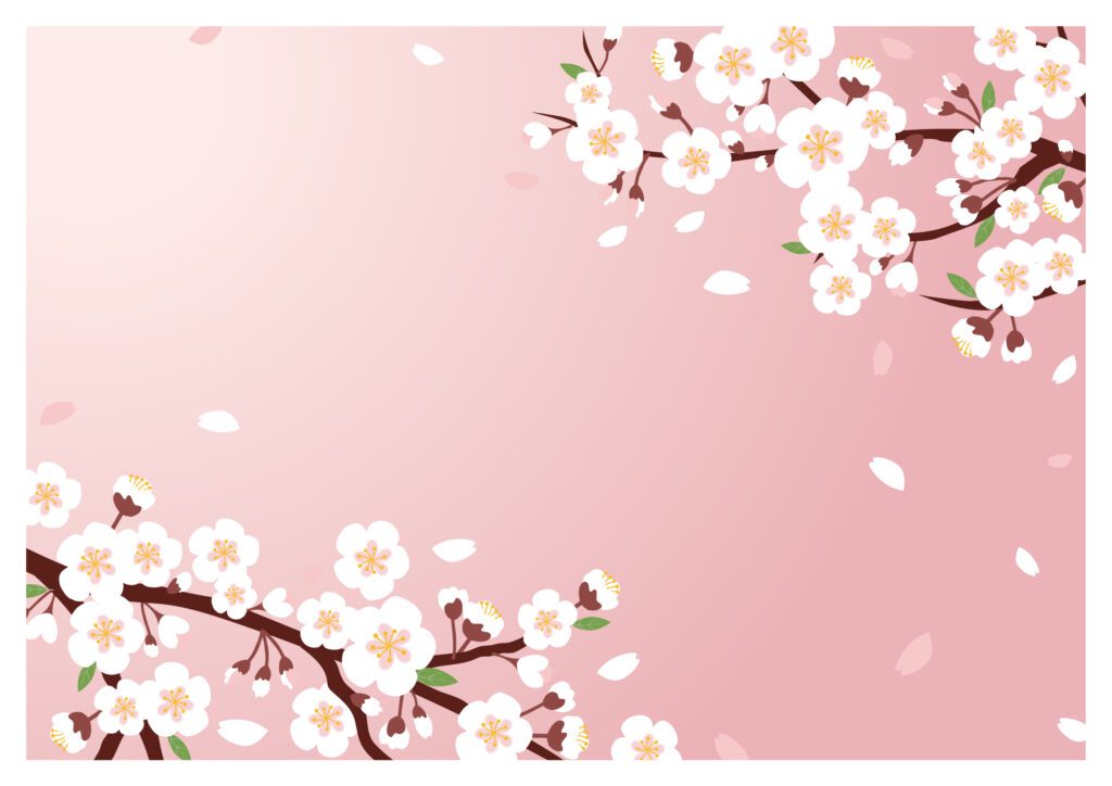 桜／ピンク背景