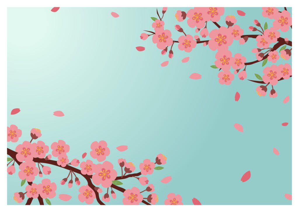 桜／壁紙