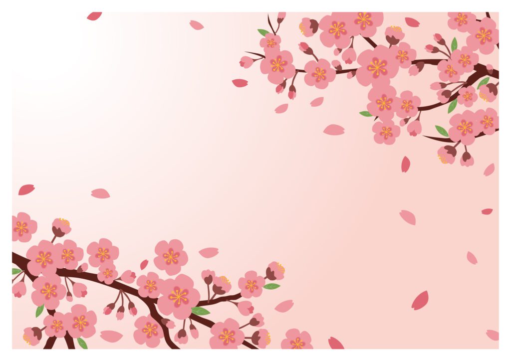 桜／壁紙